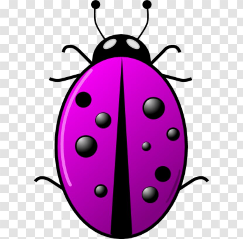 Beetle Ladybird Clip Art - Yellow - Surveillance Camera Clipart Transparent PNG