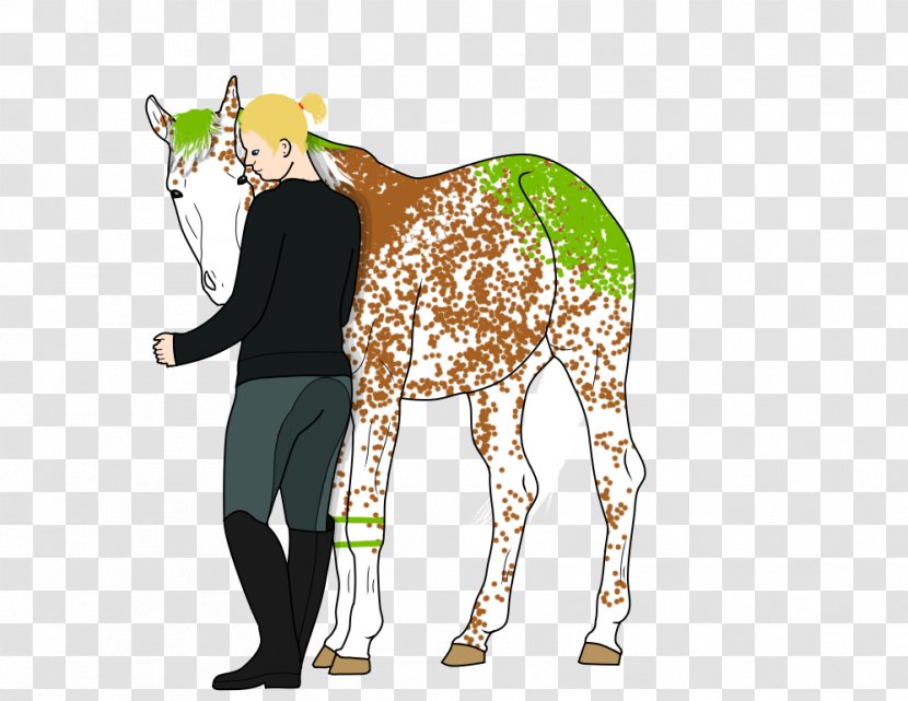 Giraffe Horse Illustration Pack Animal Neck - Fauna Transparent PNG