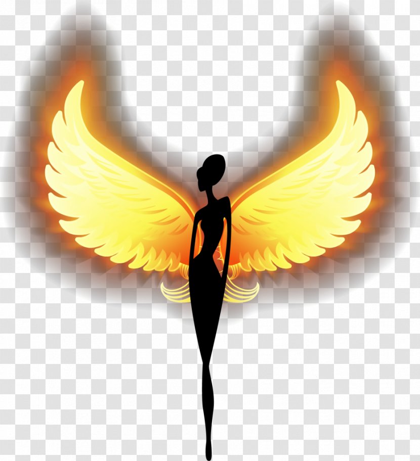 Angel Clip Art - Insect - Wings Transparent PNG