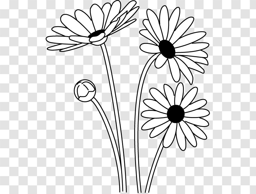 Oxeye Daisy Black And White Argyranthemum Frutescens Clip Art - Plant - Flowering Transparent PNG