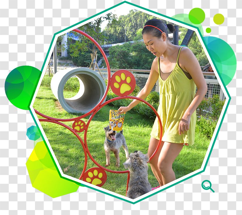 Recreation Hong Kong Stadium Dog Pet Leisure And Cultural Services Department - Playset - Lok Fu Transparent PNG