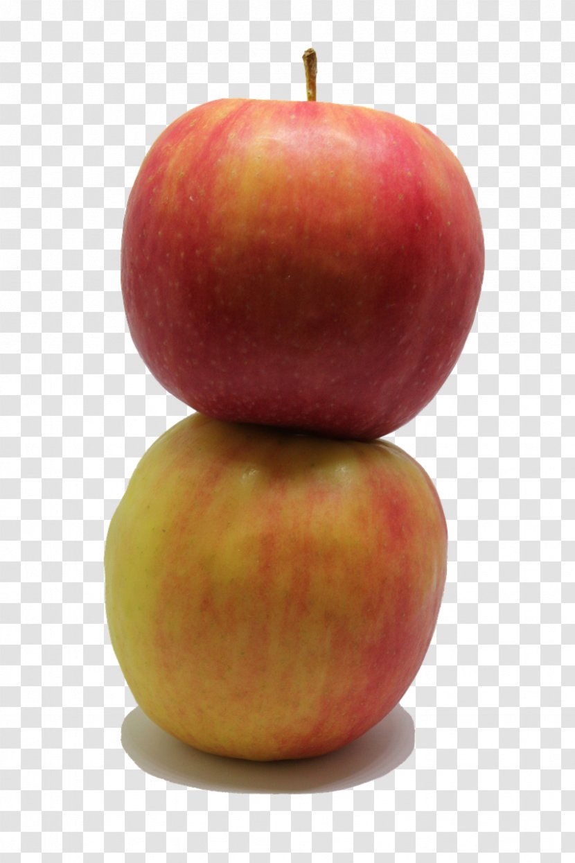 Apple Fruit Food Painting Transparent PNG