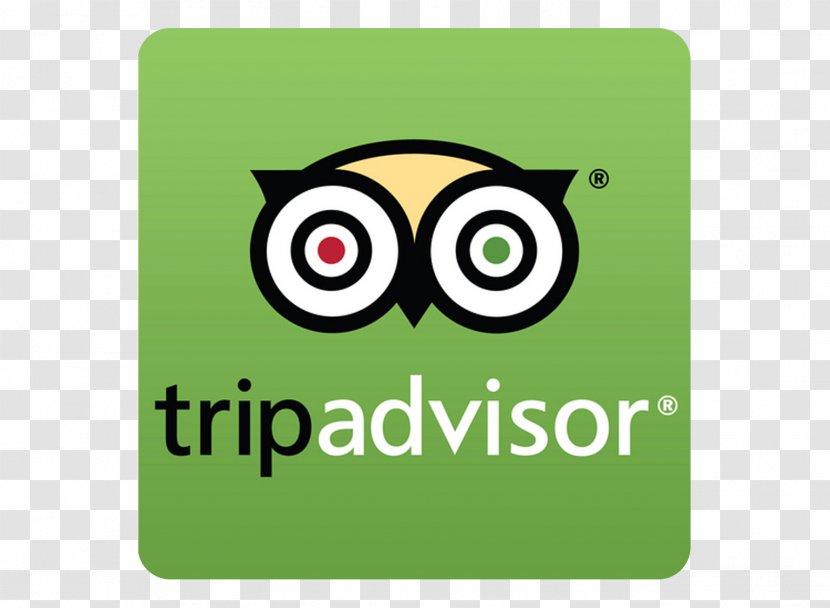 TripAdvisor Hotel Resort Restaurant Beach - Bird Of Prey Transparent PNG