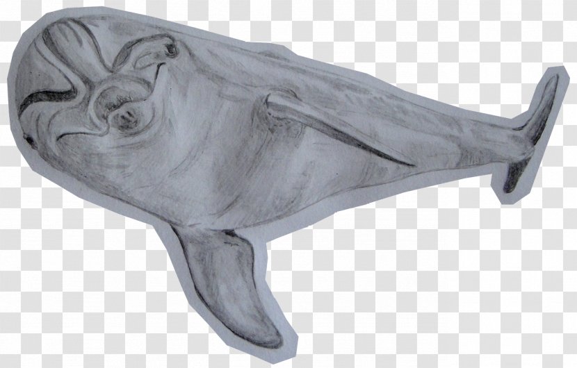 Porpoise Marine Mammal Cetacea - Fish - Flippers Transparent PNG