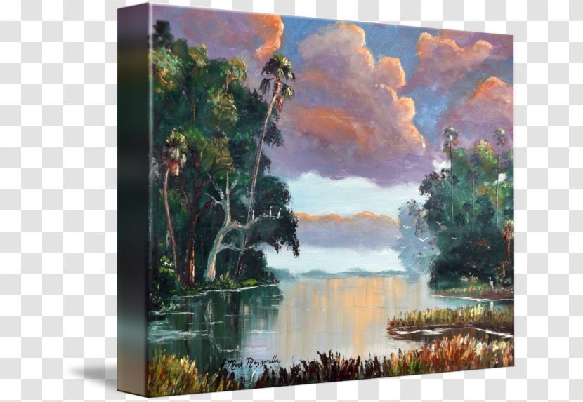Watercolor Painting Everglades Bayou Landscape Transparent PNG