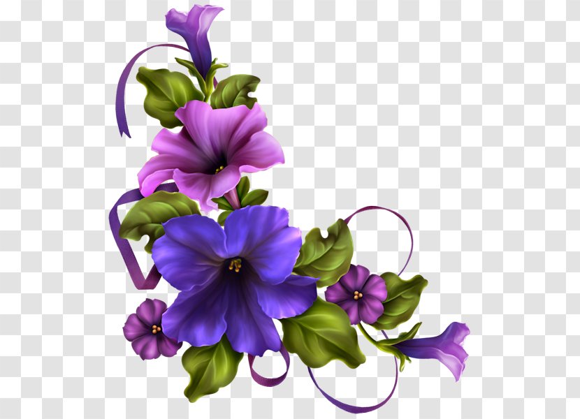 Floral Design Flower Morning Glory Clip Art - Viola - Barnali Bagchi Transparent PNG