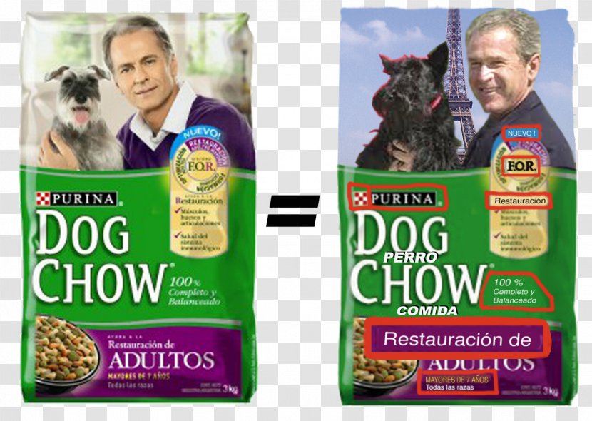 Dog Chow Breed Food Advertising Transparent PNG
