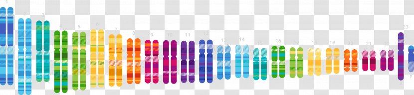 23andMe Genetic Testing Genetics Genomics DNA - Anne Wojcicki - Helix Transparent PNG