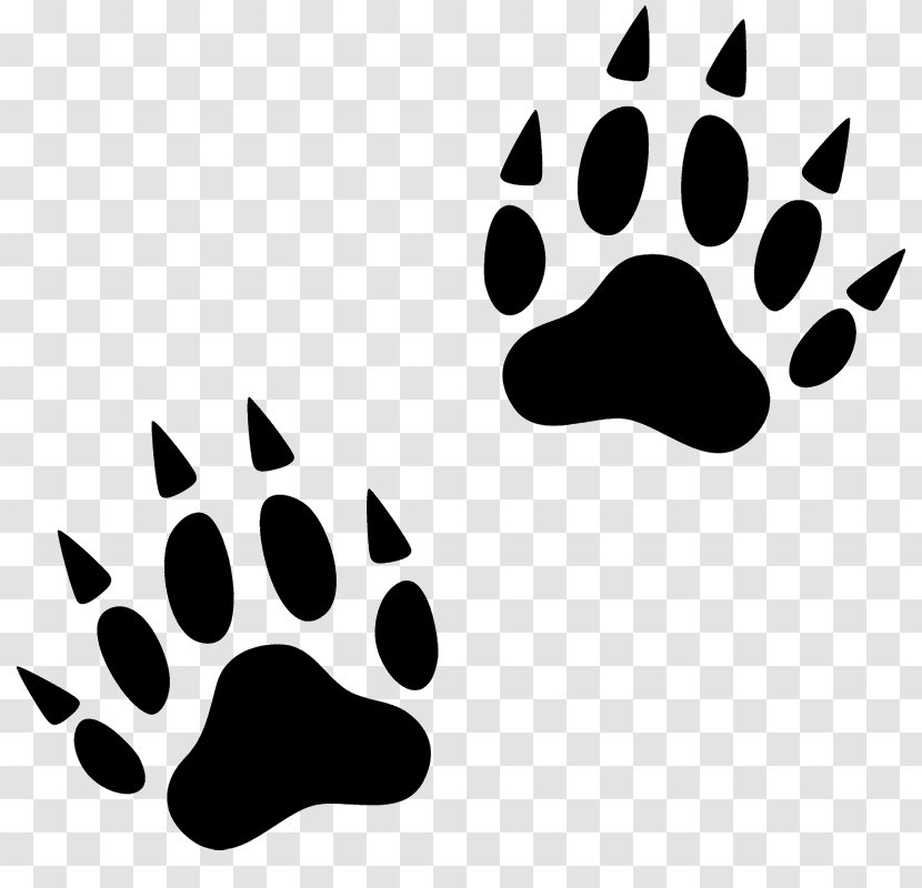 Paw Wolverine Cat Footprint Animal Track - Foot - Tiger Transparent PNG