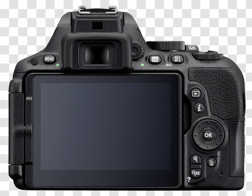 Point-and-shoot Camera Photography Bridge Nikon - Dx Format Transparent PNG
