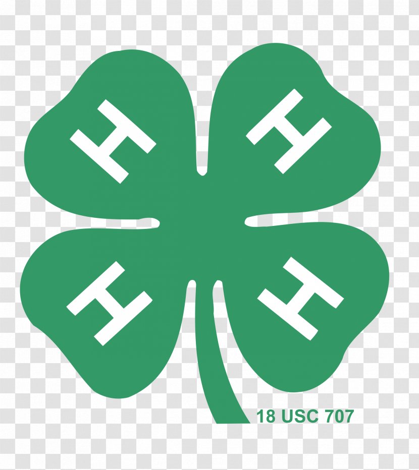 4-H Institute Of Food And Agricultural Sciences Organization Positive Youth Development Learning-by-doing - Shamrock - H Vector Transparent PNG