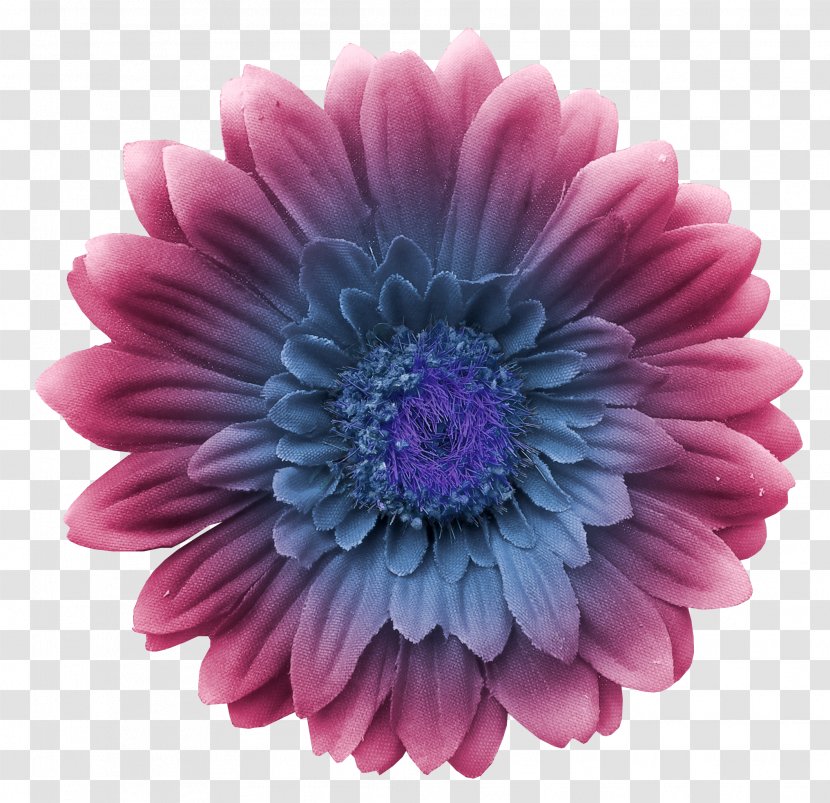 Grasse Aromas De Colima Transvaal Daisy Perfume Cut Flowers - Purple - Chrysanths Transparent PNG