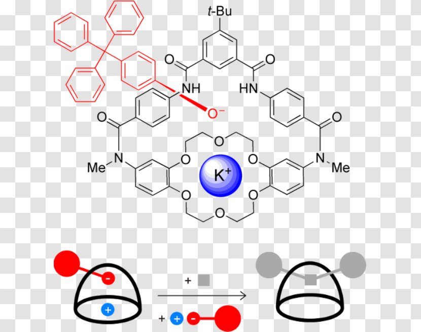 Chemical Compound Enobosarm Diagram Anthocyanidin Bicalutamide - Tree - Watercolor Transparent PNG