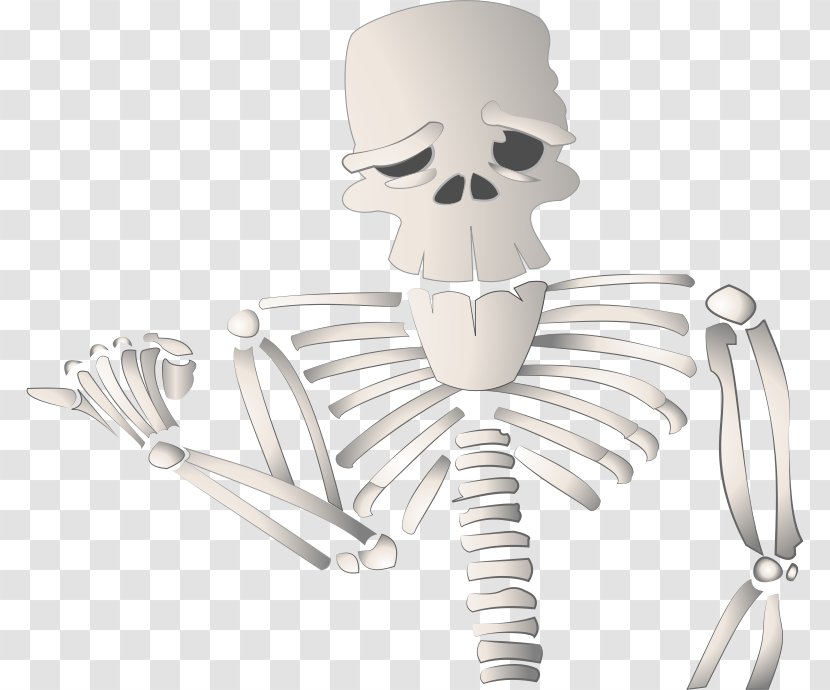 Cartoon Human Skeleton Drawing Transparent PNG