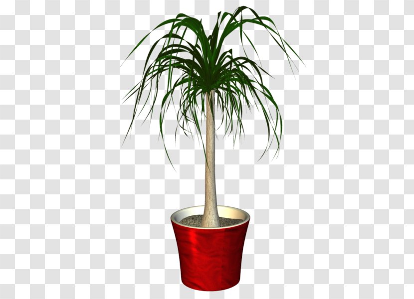 Flowerpot Houseplant Clip Art - Palm Tree - Plant Transparent PNG