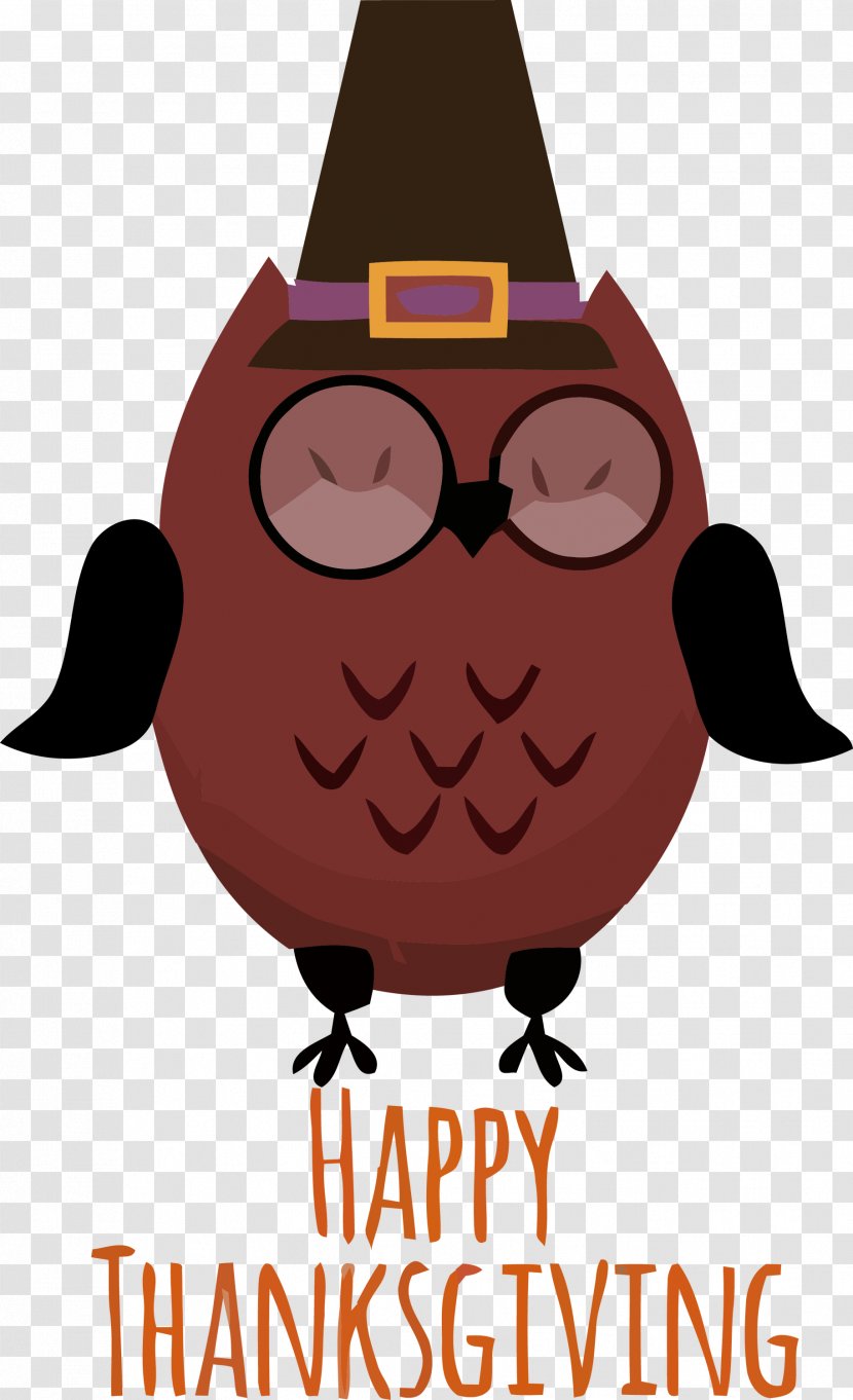 Glasses - Cartoon - Owl Transparent PNG