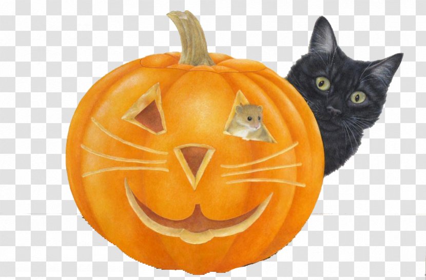 Black Cat Halloween Pumpkin Jack-o'-lantern - Library Transparent PNG