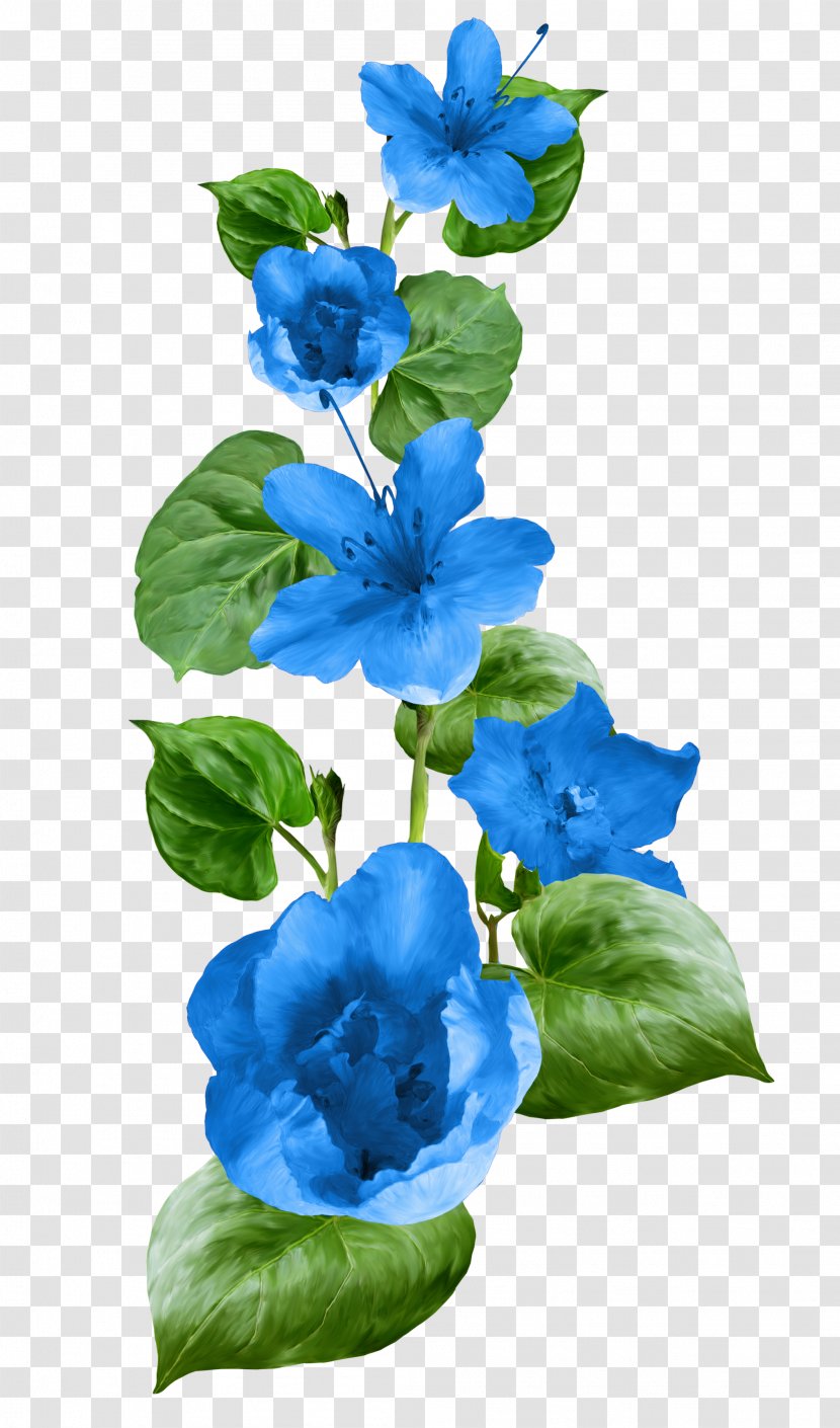 Author Clip Art - Plant - Flower Blue Transparent PNG