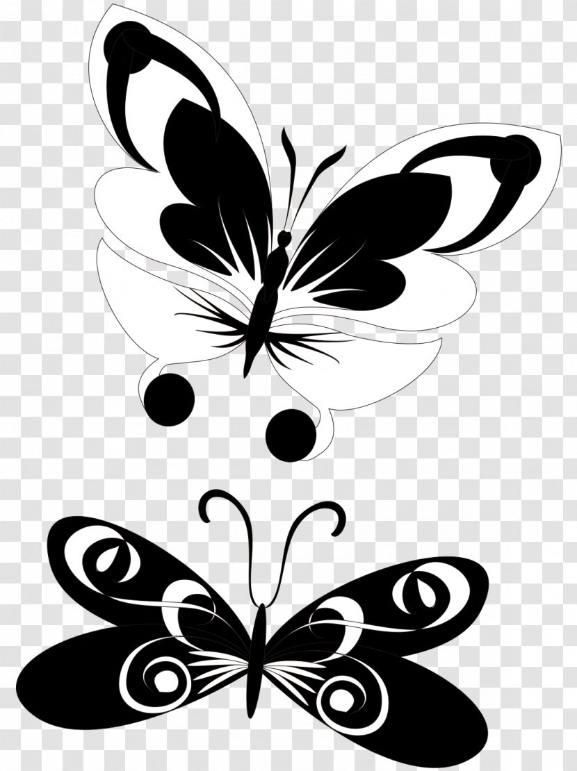 Butterfly Vector Graphics Drawing Image - Visual Arts - Graphic Design Transparent PNG