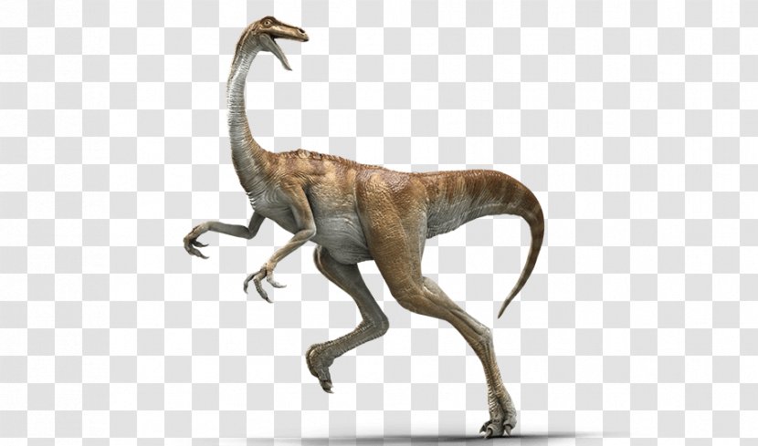 Gallimimus Velociraptor Baryonyx Parasaurolophus Jurassic Park - Header Transparent PNG