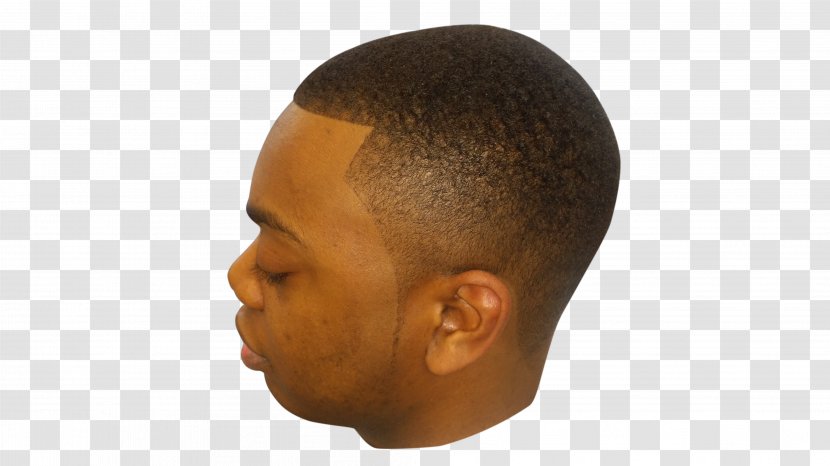Chin Jaw Forehead Ear Nose Transparent PNG