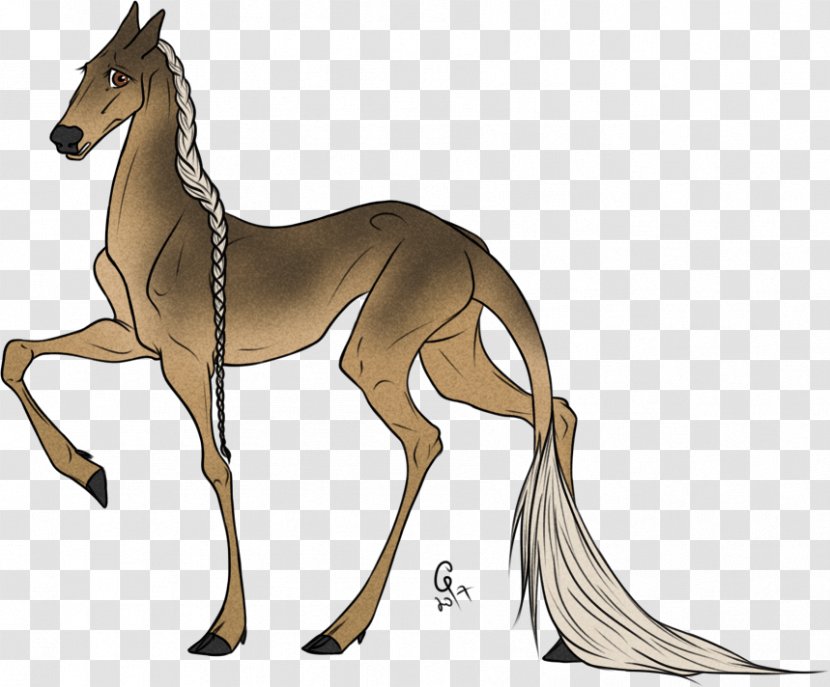 Mustang Mane Foal Colt Stallion - Livestock Transparent PNG