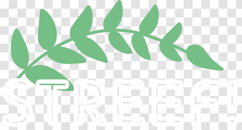 Menu Logo Email Marketing - Green Transparent PNG