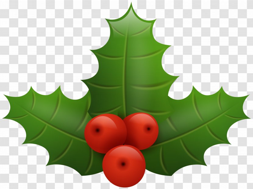 Common Holly Santa Claus Christmas Clip Art - Aquifoliaceae - Image Transparent PNG