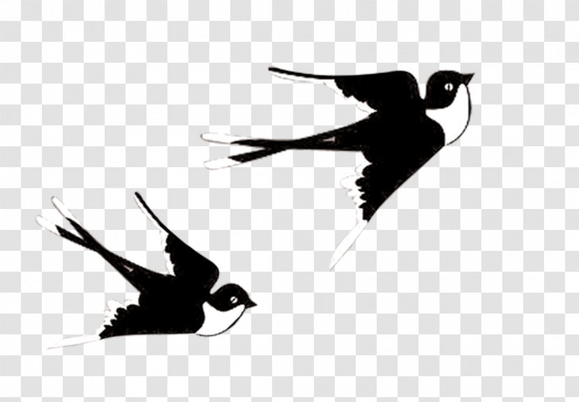 Cartoon Comics - Black And White - Swallows Flying Creative Elements Transparent PNG
