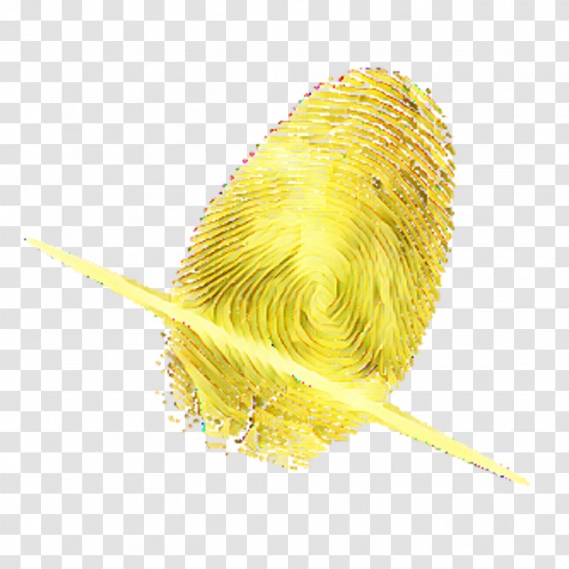 Feather Beak - Yellow Transparent PNG