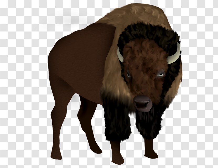Bison Animation - Cow Goat Family - Boson Transparent PNG