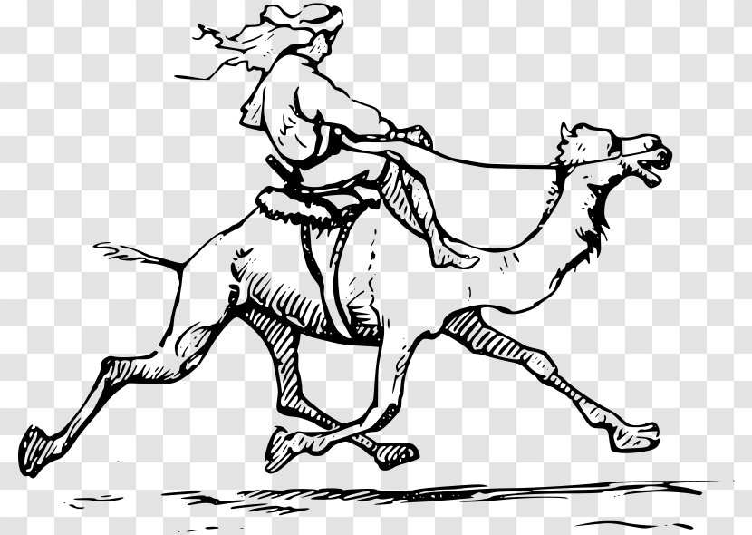 Camel Drawing Pictured Palestine Clip Art - Artwork Transparent PNG