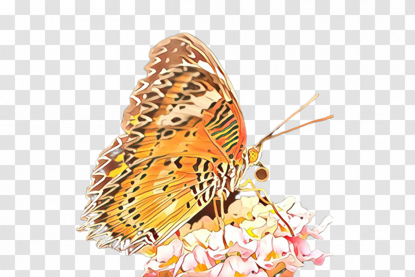 Cynthia (subgenus) Insect Butterfly Moths And Butterflies Argynnis Transparent PNG