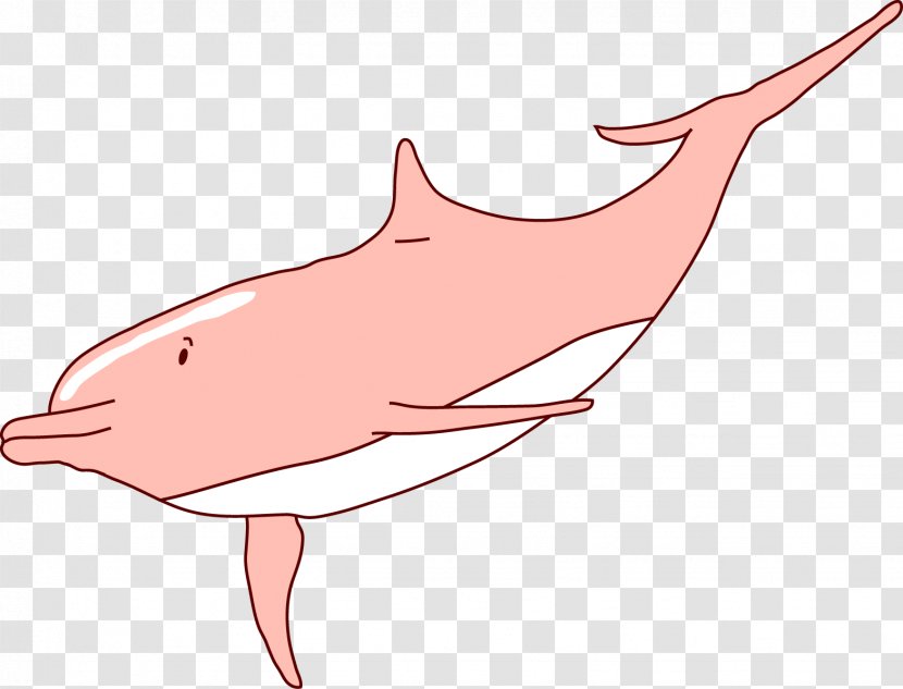 Tucuxi Dolphin Clip Art - Silhouette - Vector Dolphins Transparent PNG