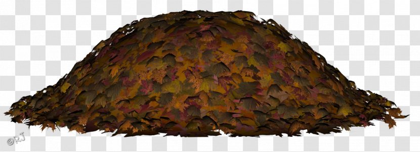 Tree Autumn Leaf Color - Bit Transparent PNG