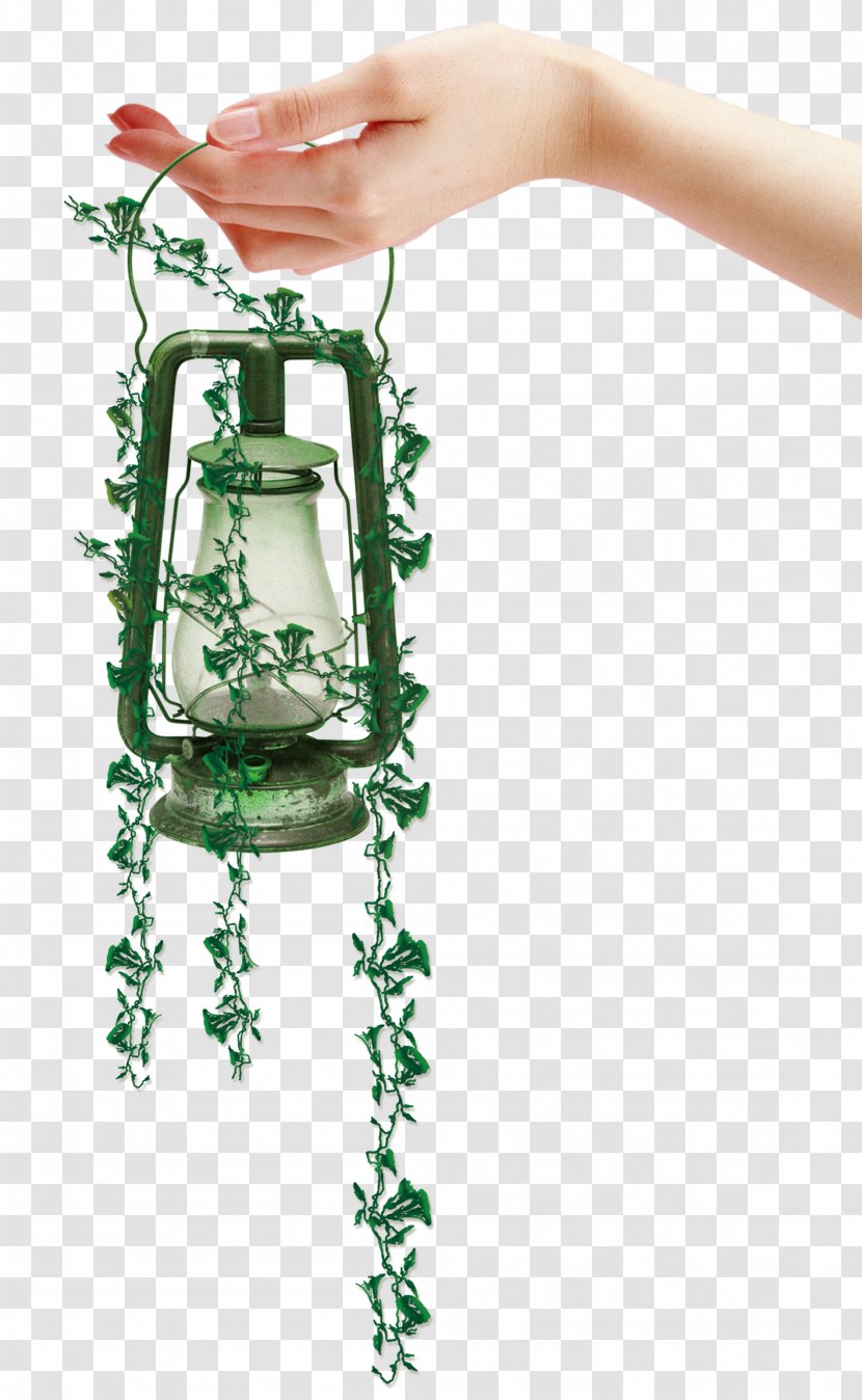 Download - Flowerpot - Hand And Eco Lamp Transparent PNG