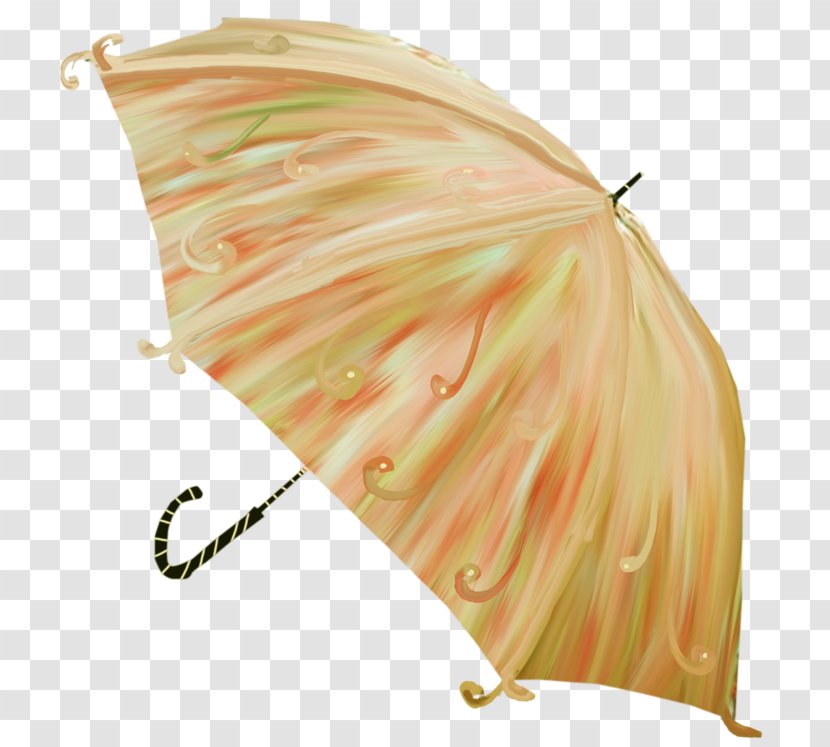Umbrella Photography Picture Frames Clip Art - Orange - Handpainted Umbrellas Transparent PNG