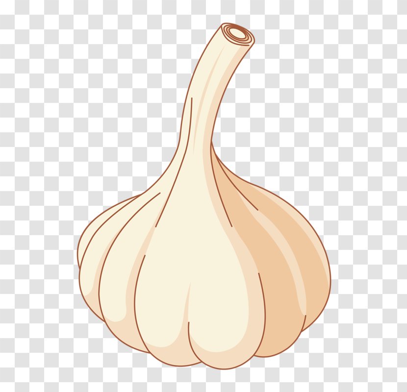 Shallot Download Computer File - Meat - Nice Onion Transparent PNG