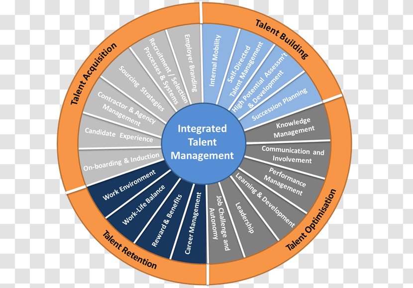 Talent Management Succession Planning Human Resource Performance Appraisal - Brand - Business Transparent PNG