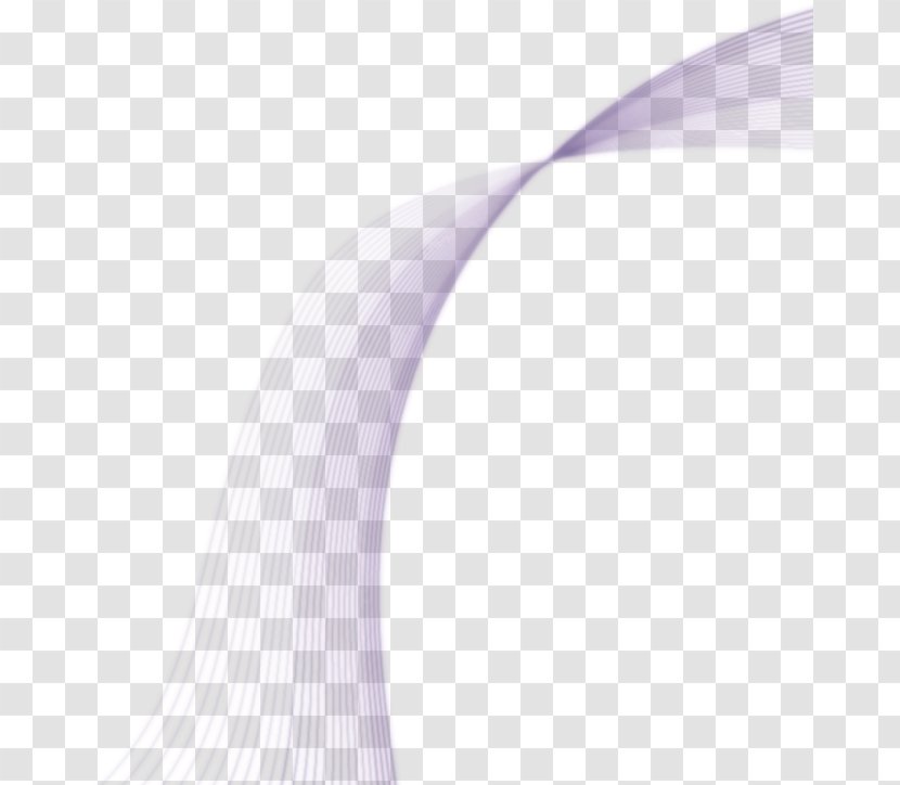 Lilac Violet Purple - PORTFOLIO Transparent PNG