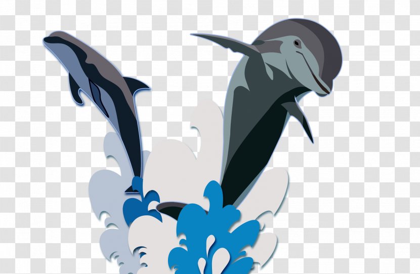 Dolphin Wallpaper - Marine Mammal - Cartoon Upturned Black Jump Transparent PNG