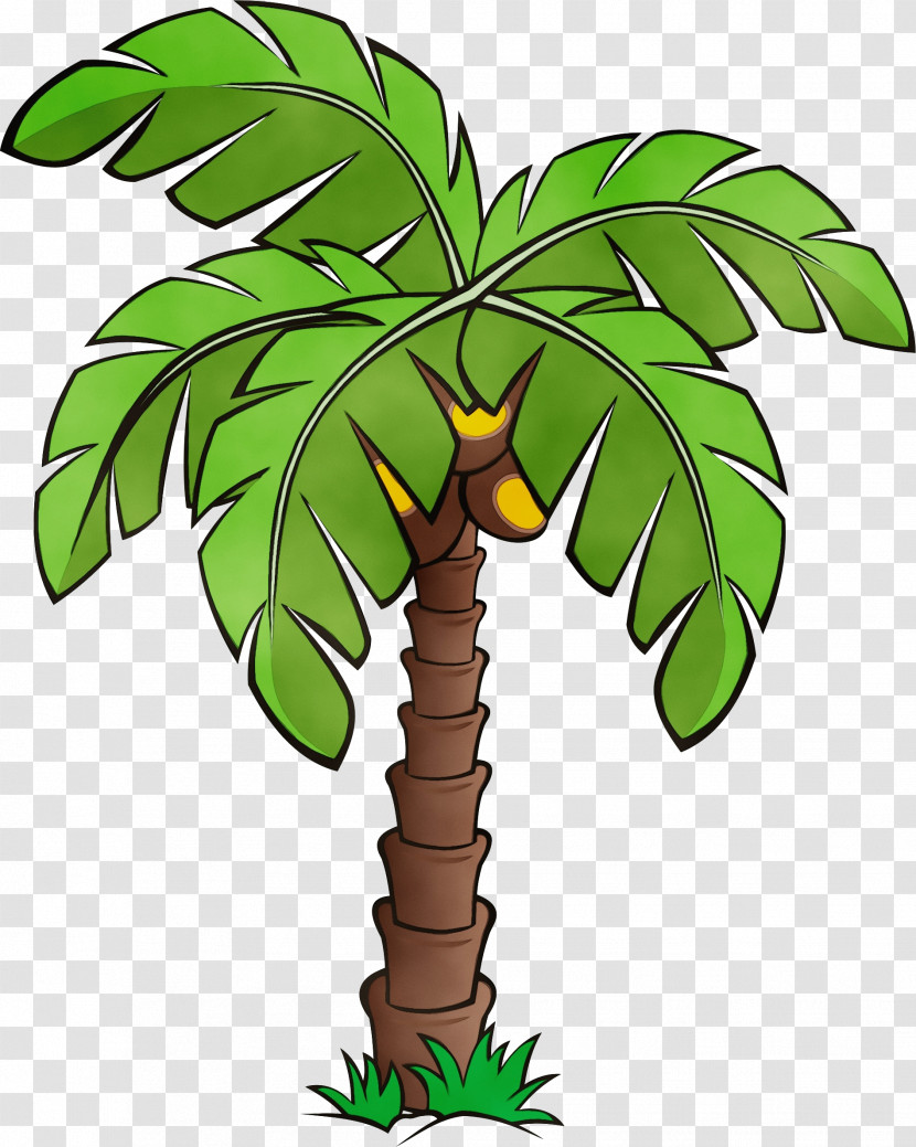 Palm Trees Transparent PNG