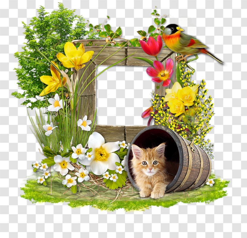 Floral Design Cat Cut Flowers Blog Transparent PNG