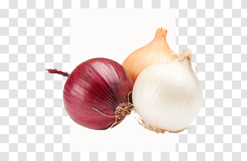 Yellow Onion Shallot French Soup Vegetable Red - Recipe Transparent PNG