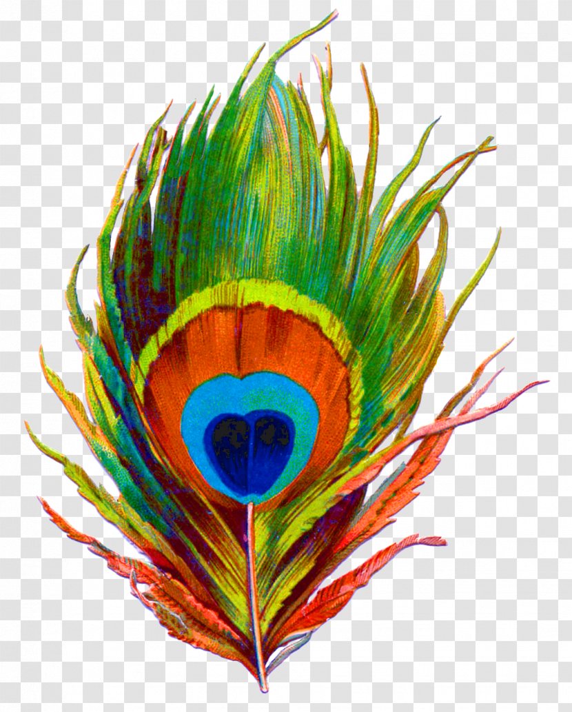 Krishna Paper Feather Bird Peafowl Transparent PNG