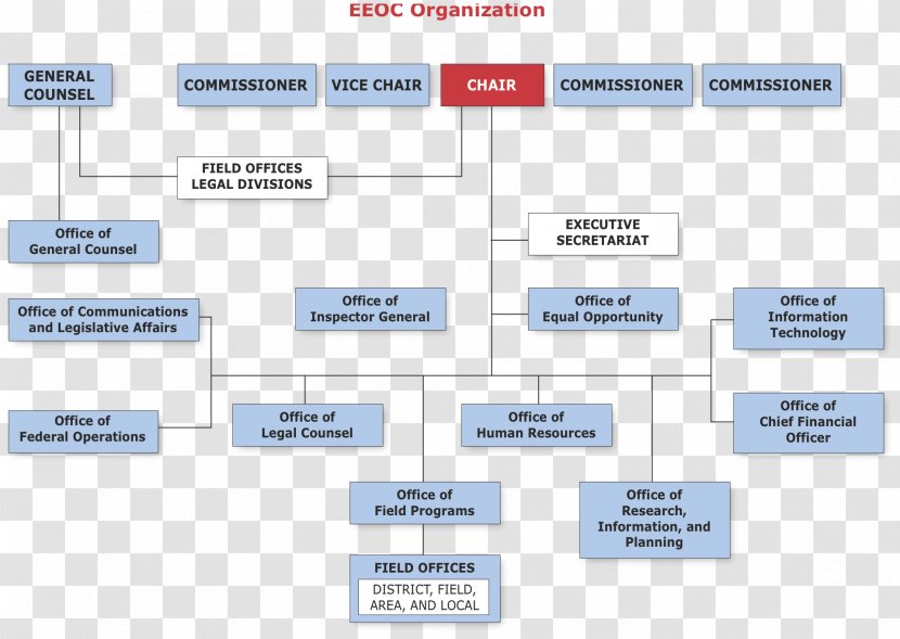 Organizational Chart Management Equal Employment Opportunity Commission United Parcel Service - Advertising Transparent PNG