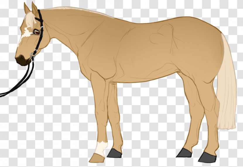 Mule Rein Mustang Horse Harnesses Bridle - Like Mammal Transparent PNG
