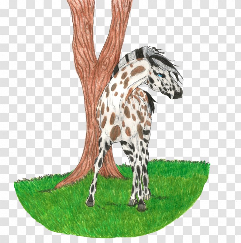 Giraffe Terrestrial Animal Wildlife Tree Transparent PNG
