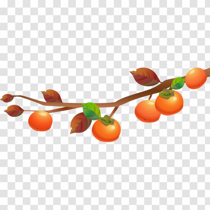 Tomato Vegetable - Cartoon - Tomatoes Transparent PNG