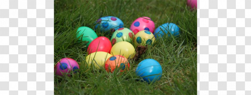 Easter Bunny Bilby Egg Hunt Transparent PNG